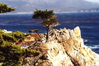 Scenic southern CA coast.jpg